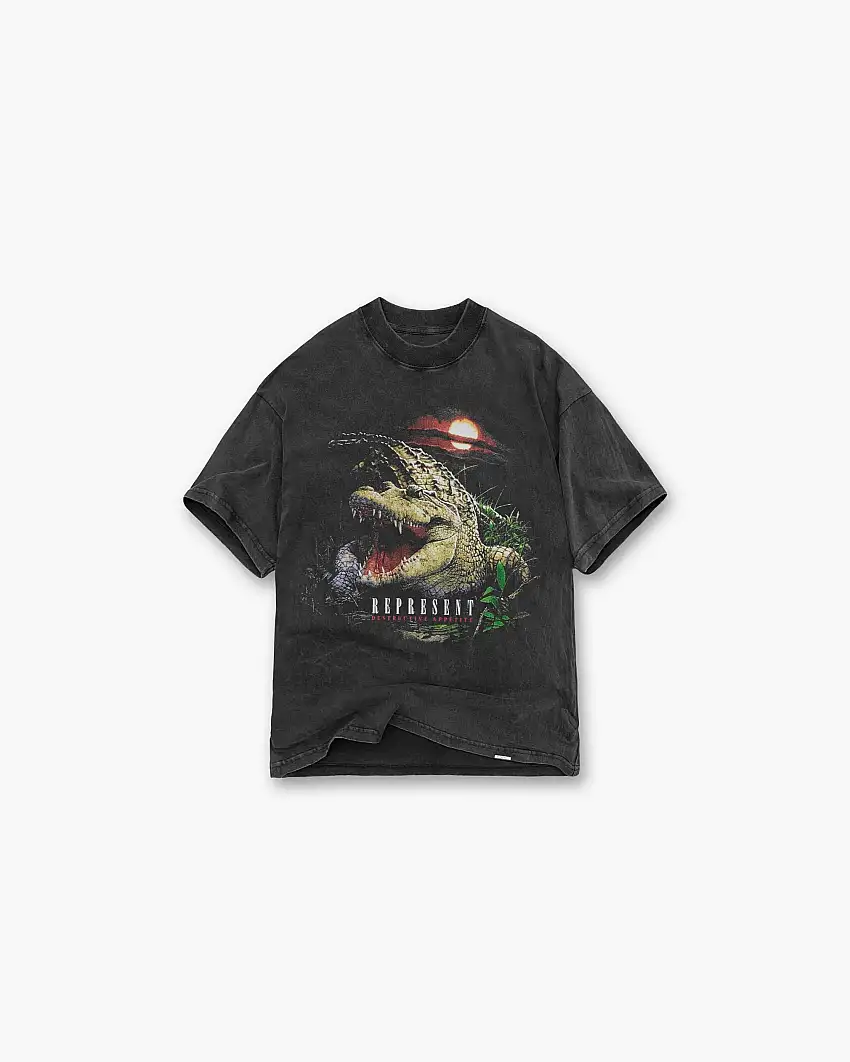 Destructive Appetite T-Shirt - Vintage Grey